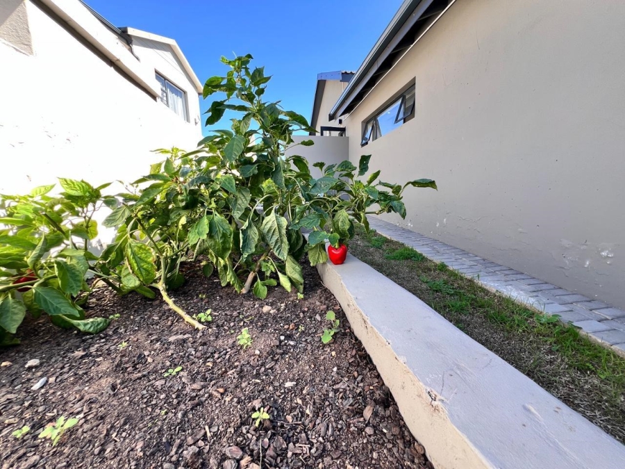 3 Bedroom Property for Sale in Blue Waters Estate Eastern Cape